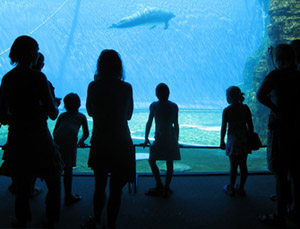 Mission Room Communication